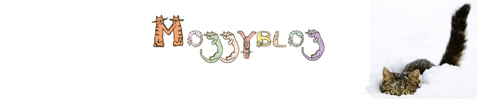 Moggyblog
