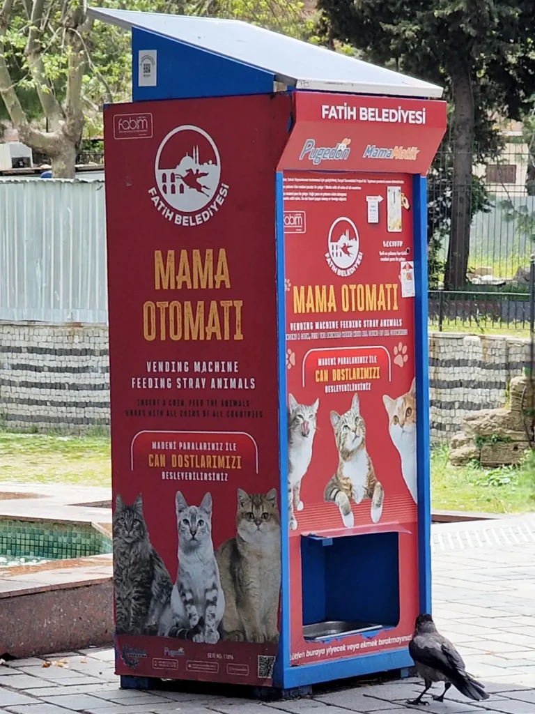 A vending machine designed to dispense food for stray cats